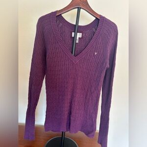 American Eagle Outfitters Purple V-Neck Sweater